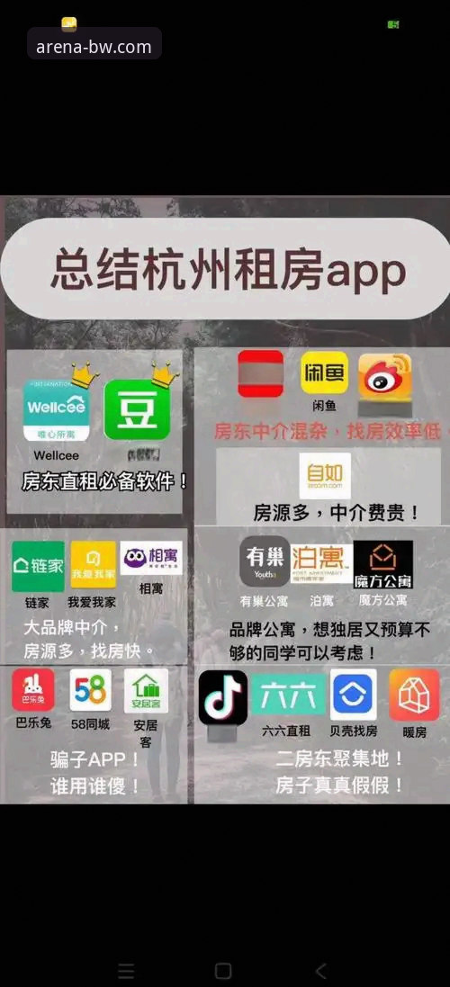 资深用户实测：宝威体育平台官方下载全流程体验与避坑指南